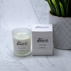 Citrus Zing - Small Candle