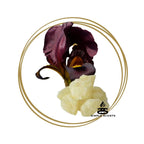 Black Iris & Musk - Simple Scents Ambience Large Twirl Style Soy Wax Melts