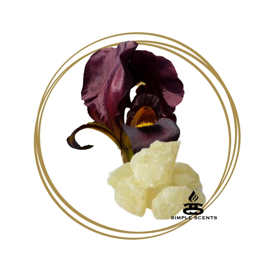 Black Iris & Musk - Simple Scents Ambience Large Twirl Style Soy Wax Melts