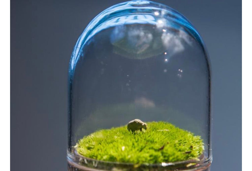 Terrarium Figure - Sheep