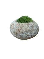 Indo Riverstone planted with Preserved Moss FR70