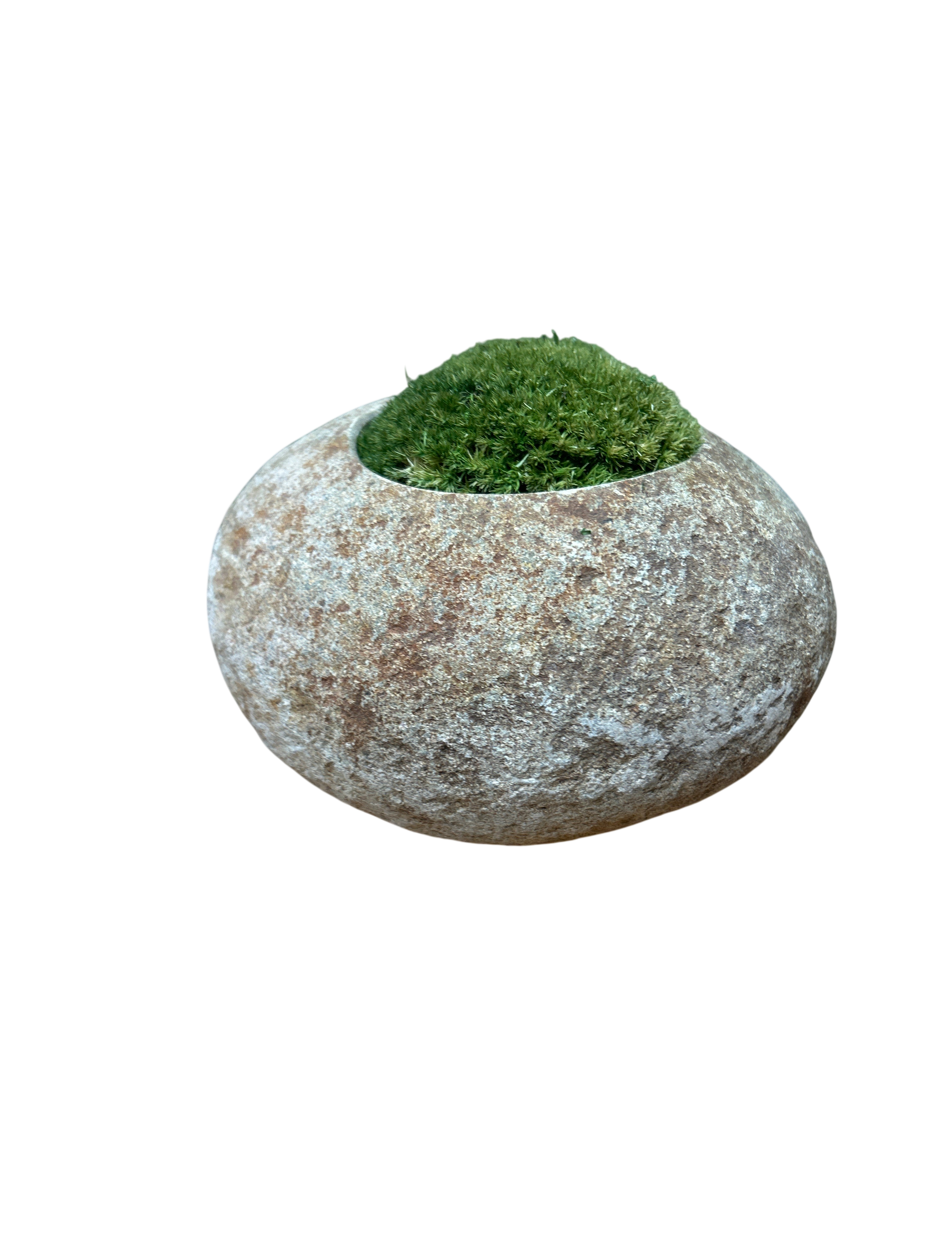 Indo Riverstone planted with Preserved Moss FR70