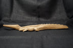 Zimbabwe Crocodile sculpture M 73.2