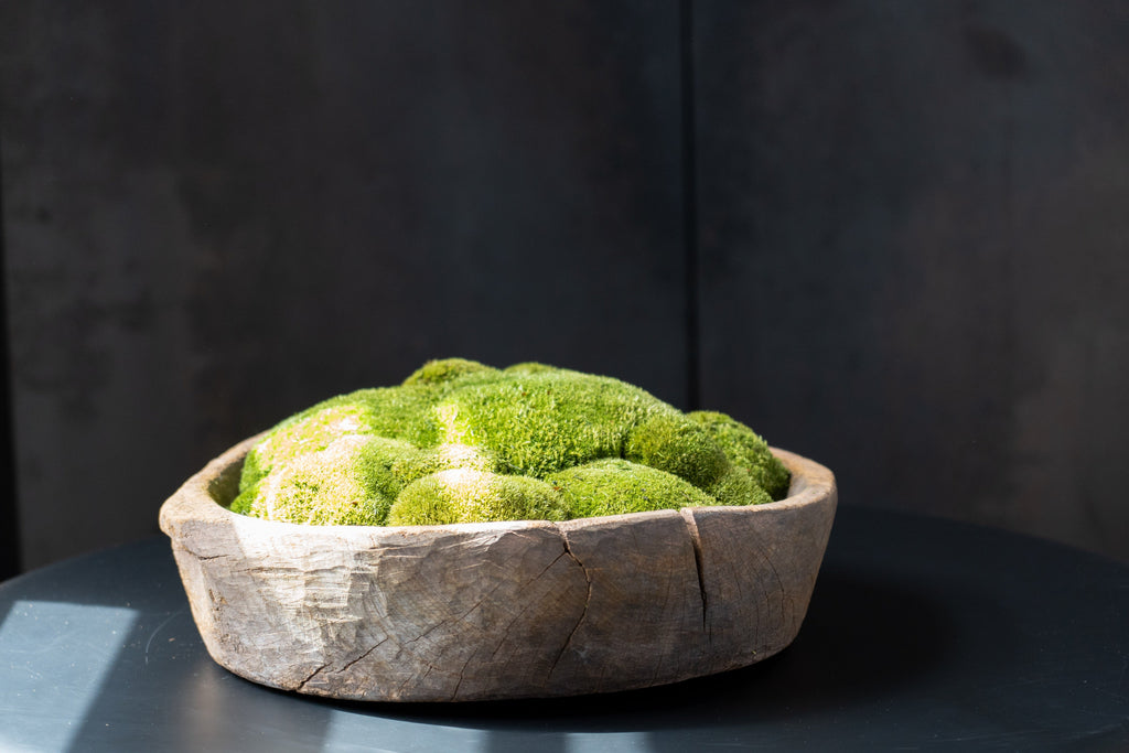 Vintage Wooden Moss Bowl