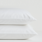 Cool & Comfy Silk Pillowcase Pair (Eucalyptus)