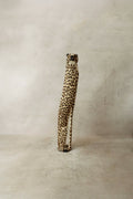 Swazi Cheetah - 37.1