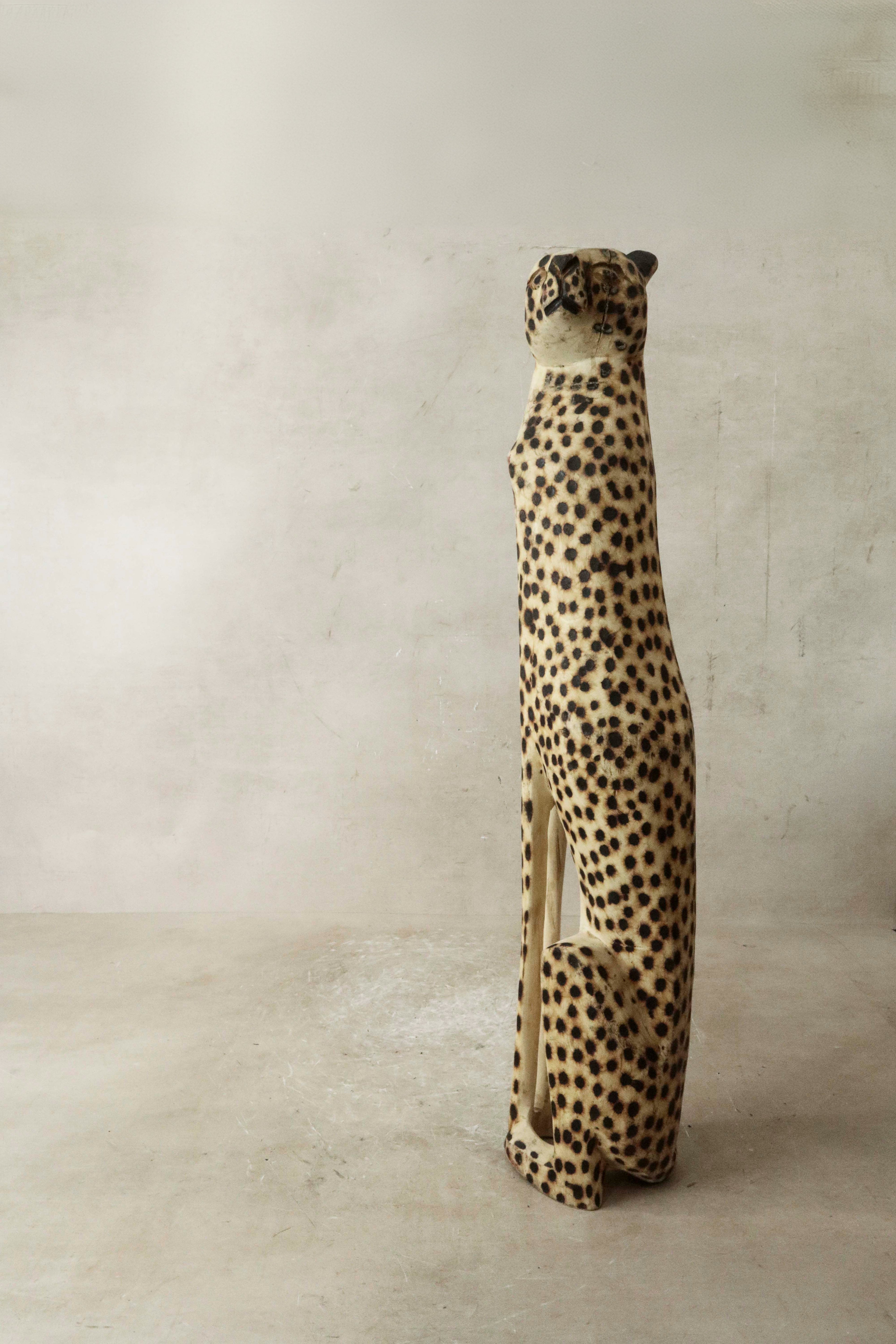 Swazi Cheetah - 37.2