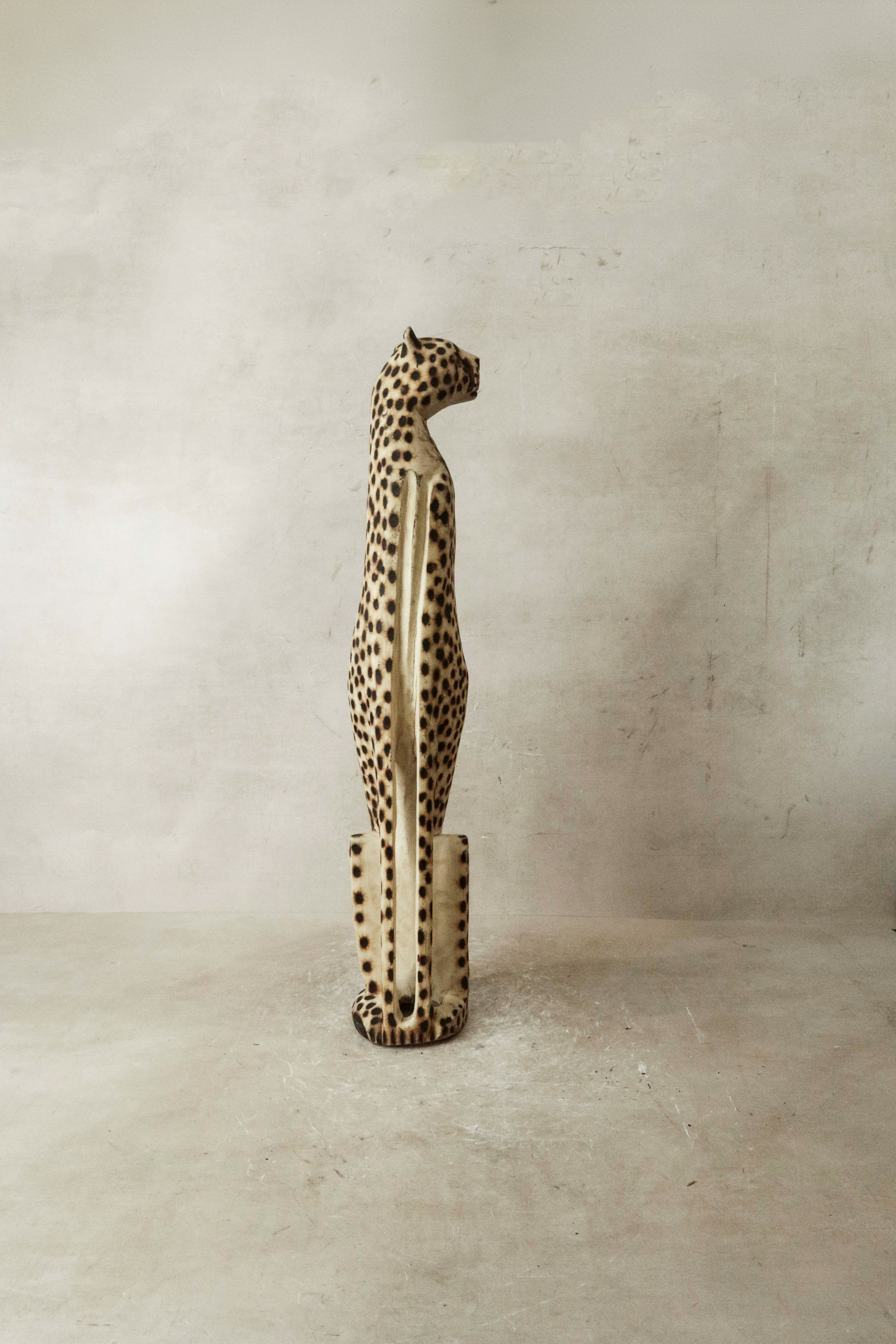 Swazi Cheetah - 37.2