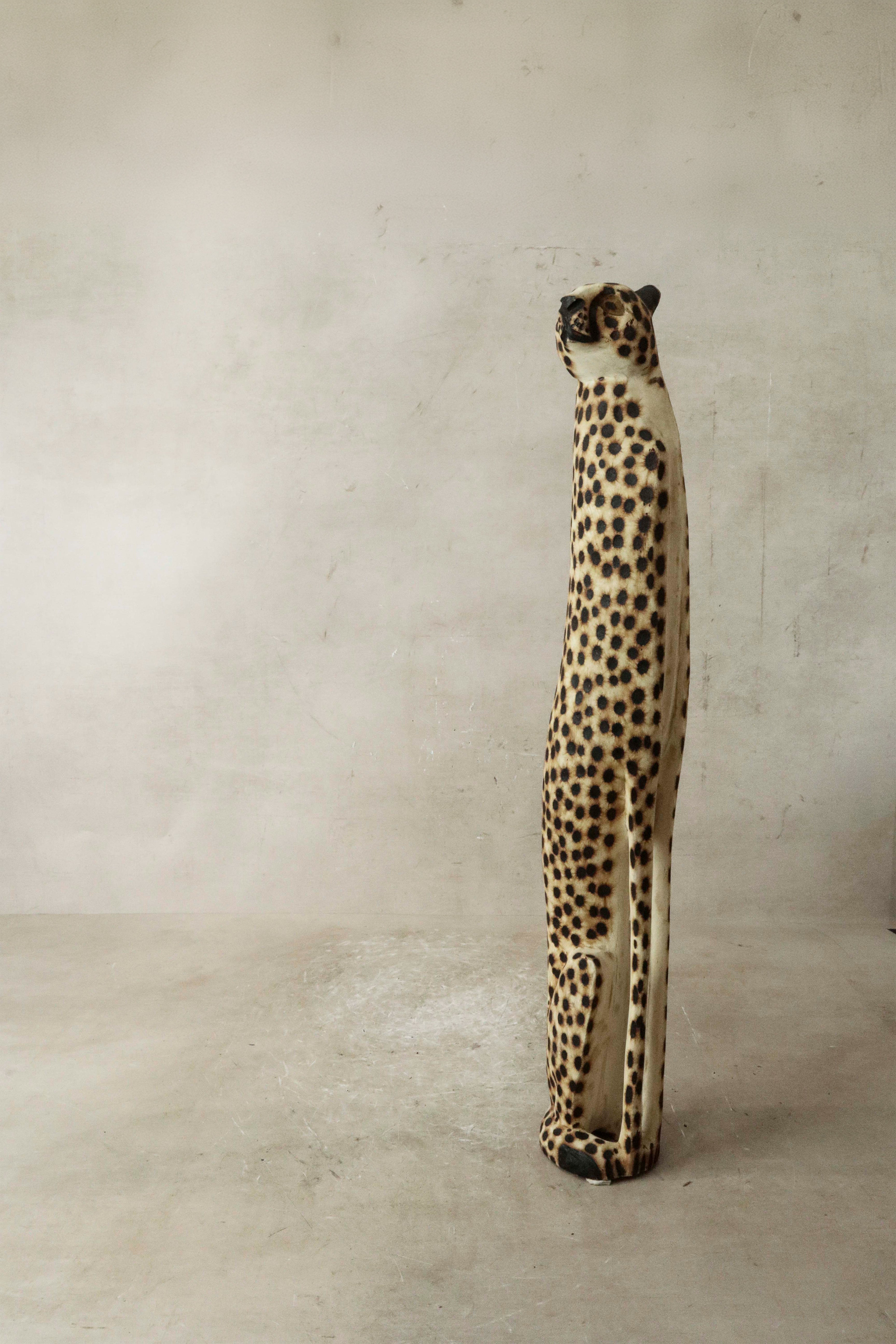 Swazi Cheetah - 37.1