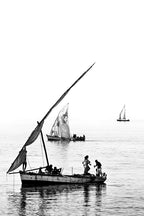 David Ballam - Ilha 02