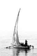 David Ballam - Ilha 05