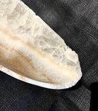 Premium Onyx Bowl Raw Edge NKC02