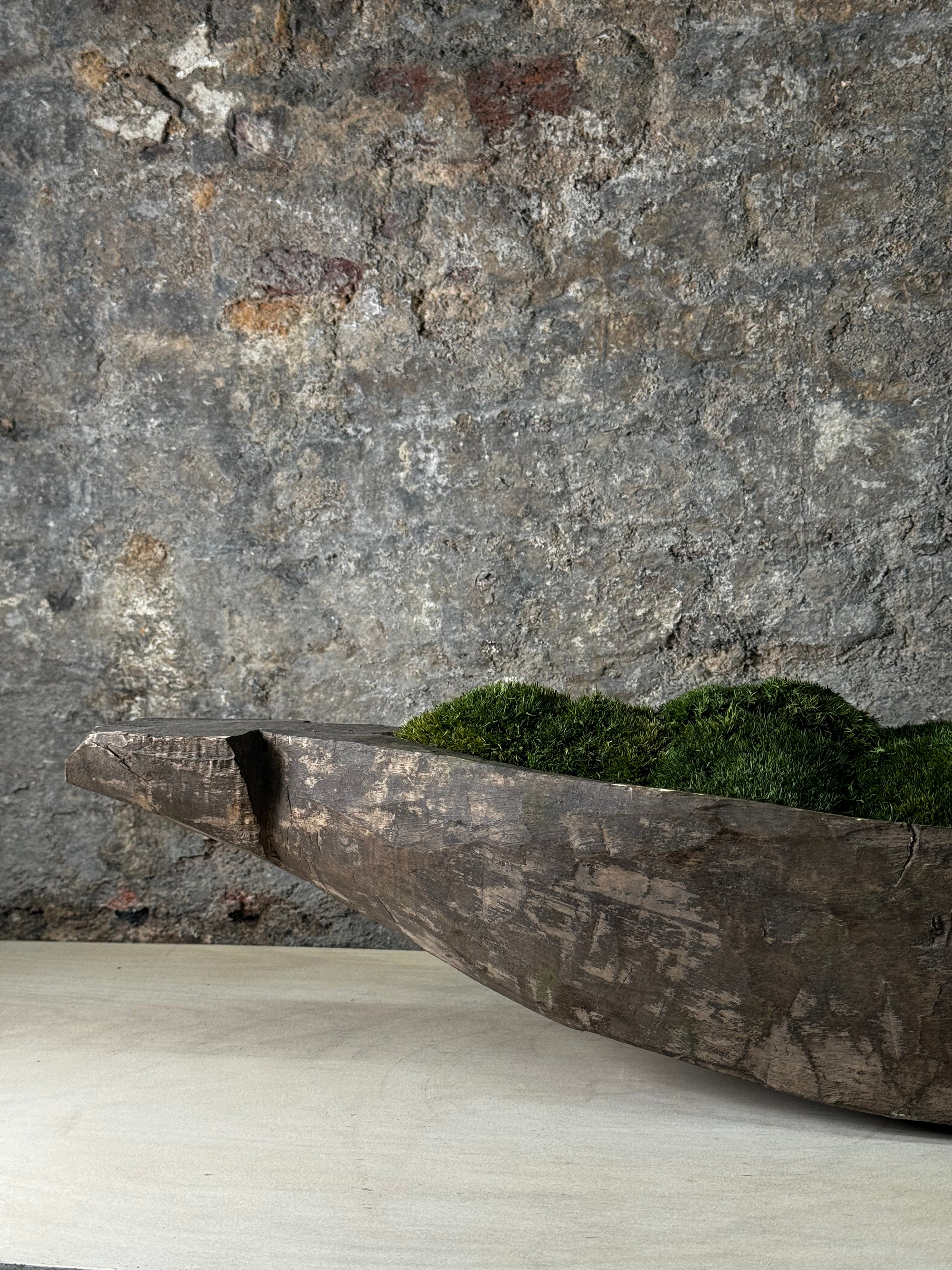 Mokoro Canoe with Preserved Moss Table Display FR60