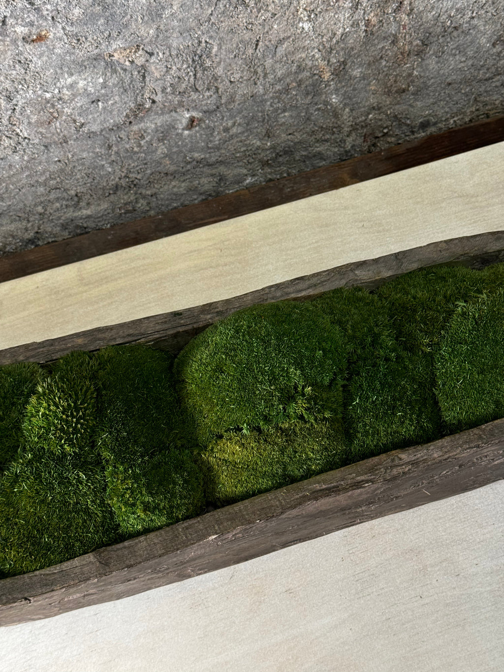 Mokoro Canoe with Preserved Moss Table Display FR56