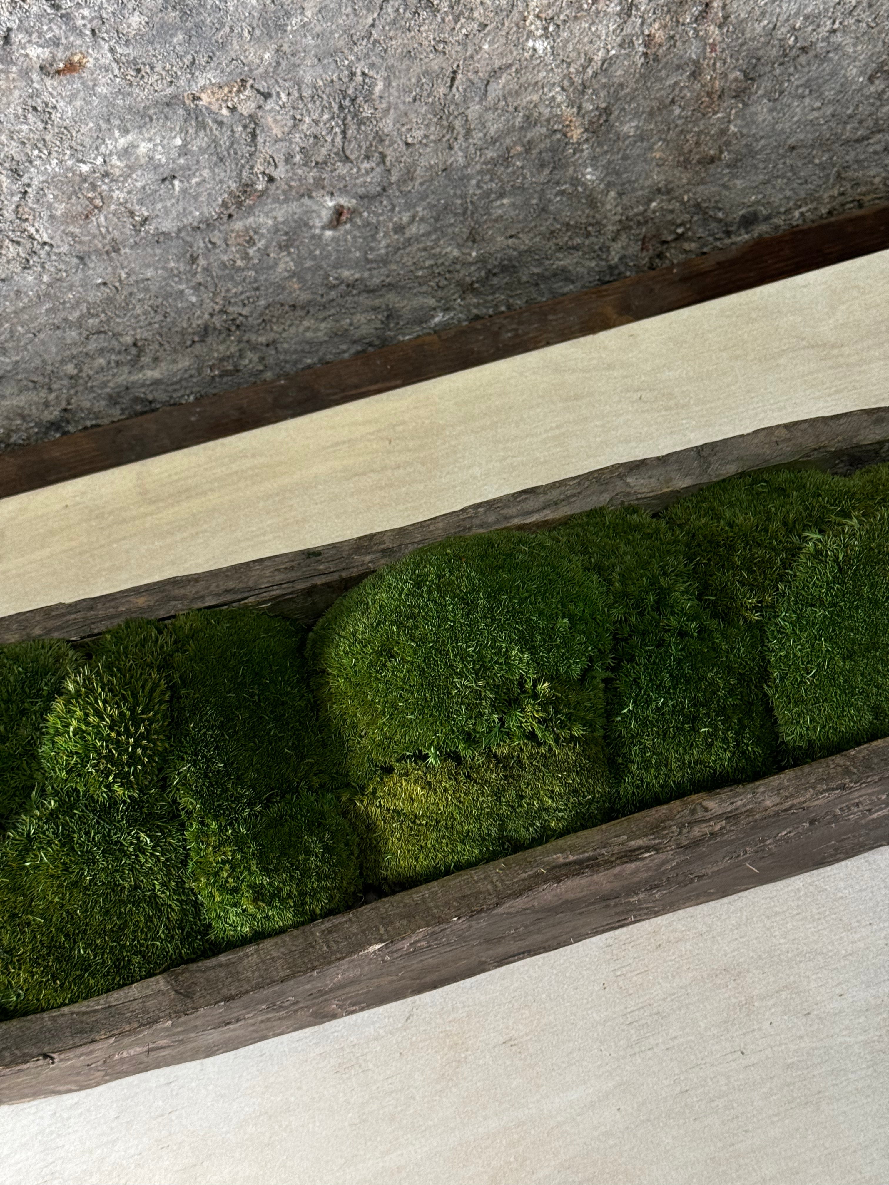 Mokoro Canoe with Preserved Moss Table Display FR63