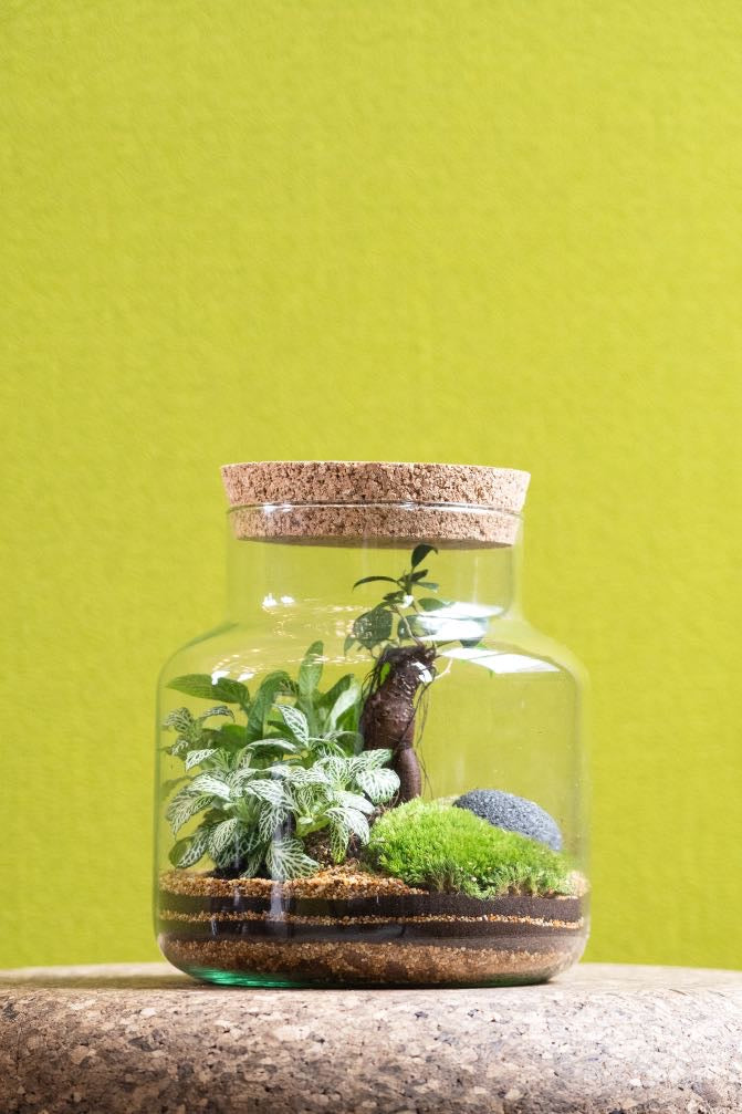 Tall Cork Jar Kit- Large