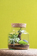 Tall Cork Jar Kit- Large