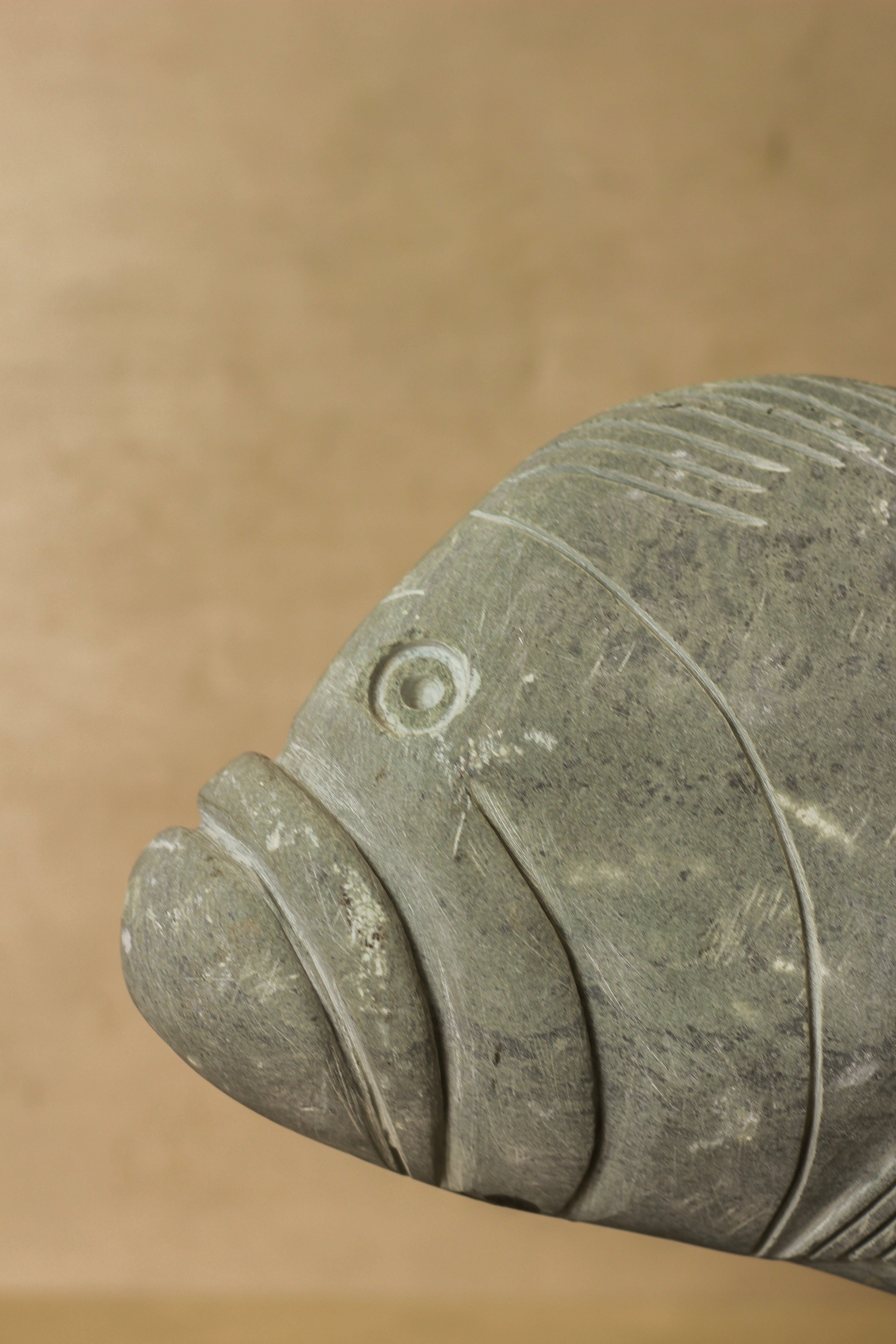 Stone Fish Sculpture - Zimbabwe - 97.2