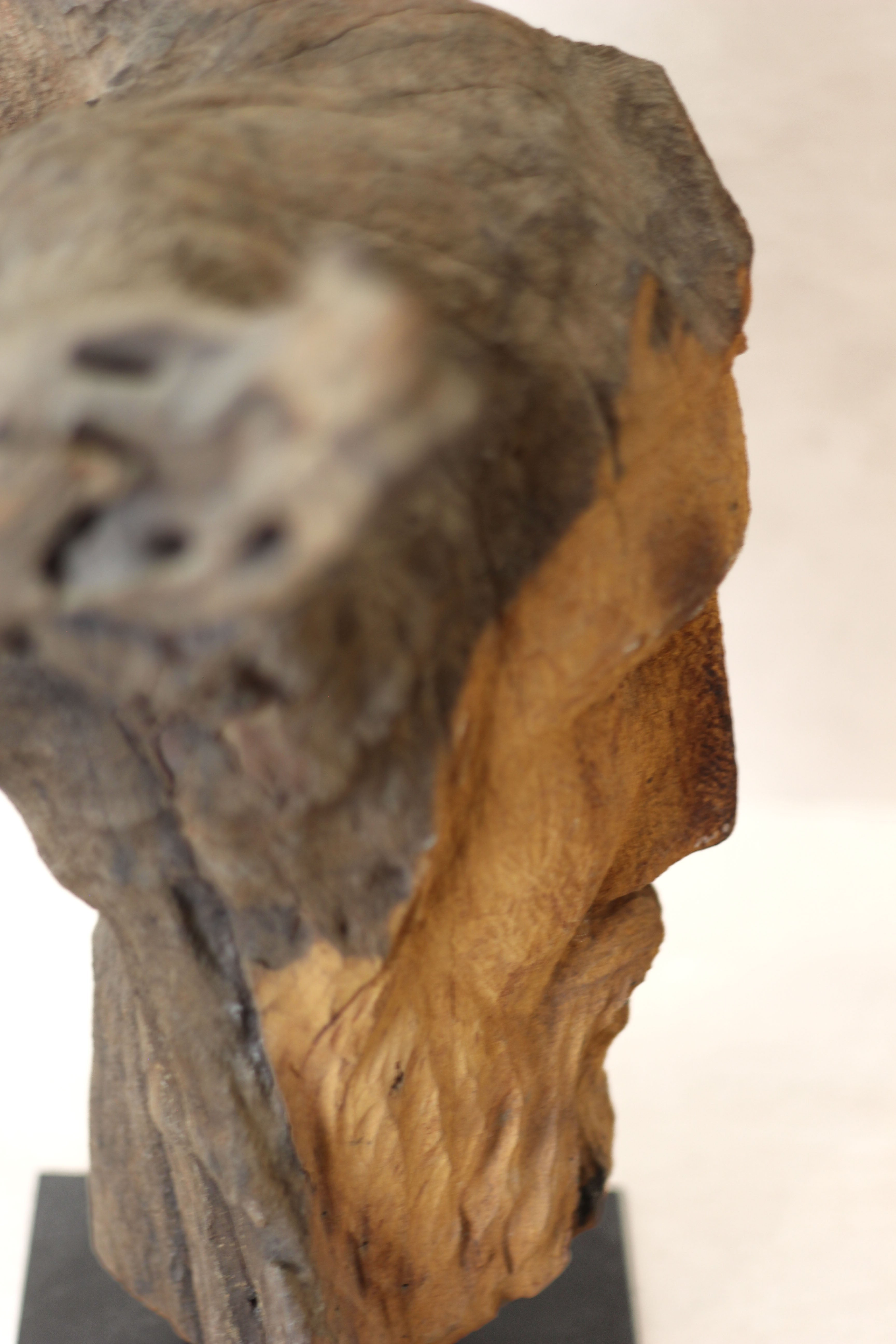 Rizimu Chiwawa Carved Driftwood Head Sculpture - Zimbabwe