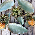 Ceramic Plate – Strelitzia Leaf Large (Green)