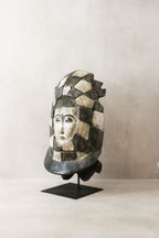 Tortoise Mask - 65.1
