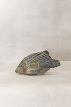 Driftwood Hand Carved Fish - (13.1)