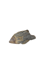 Driftwood Hand Carved Fish - (13.1)