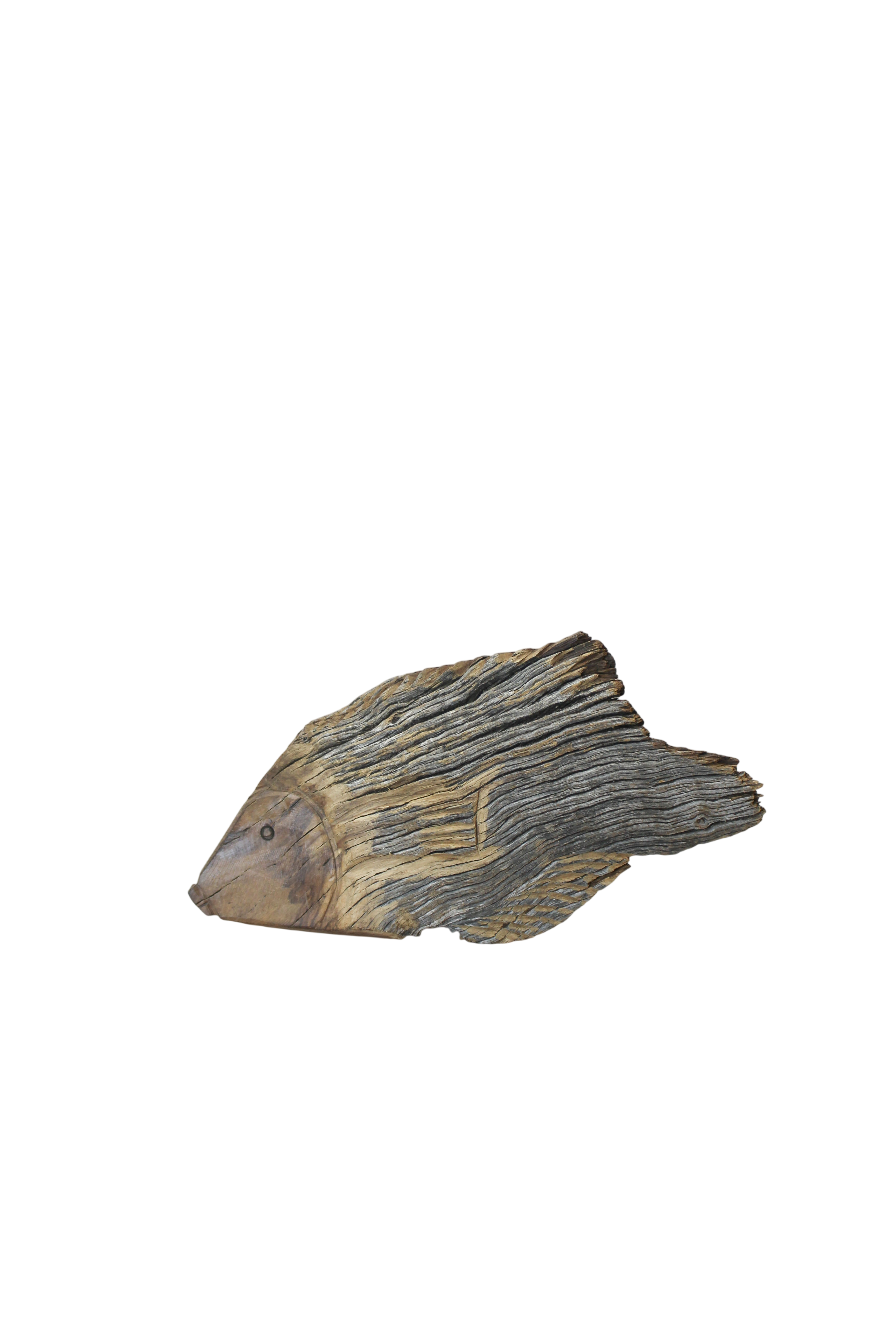 Driftwood Hand Carved Fish - (13.1)