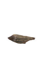 Driftwood Hand Carved Fish - (13.2)