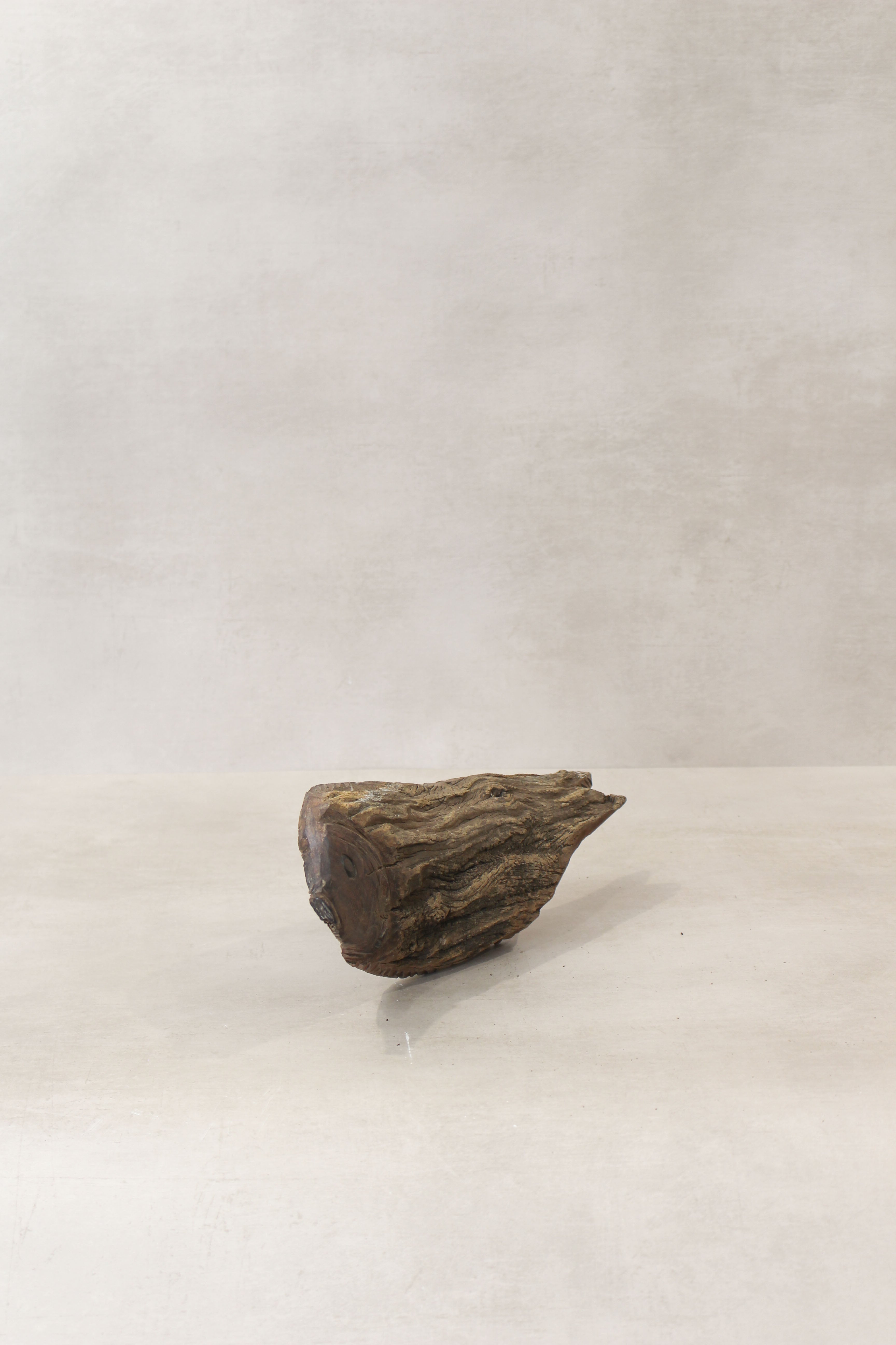 Driftwood Hand Carved Fish - (13.2)