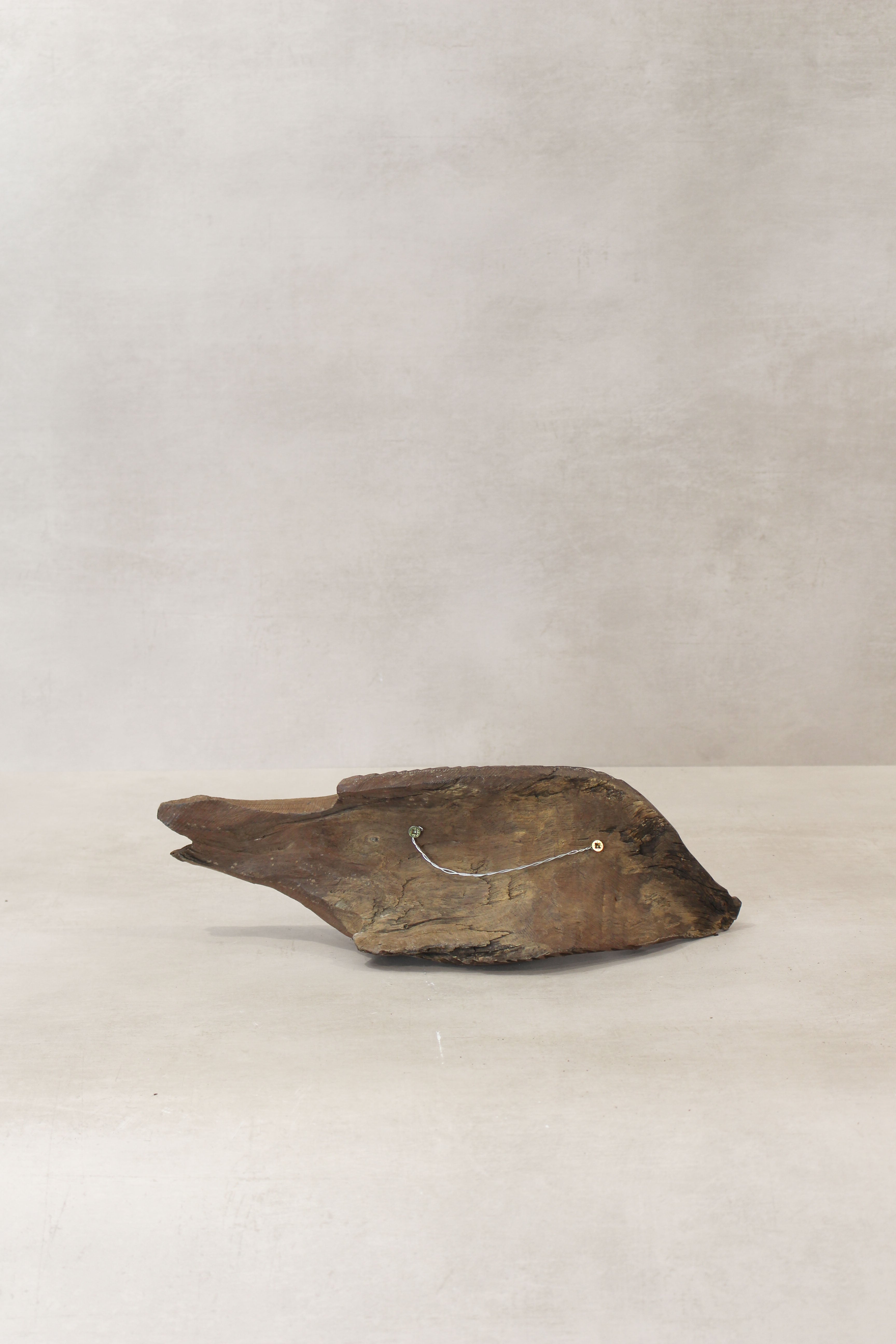 Driftwood Hand Carved Fish - (13.2)