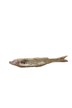 Driftwood Hand Carved Fish - (15.1)