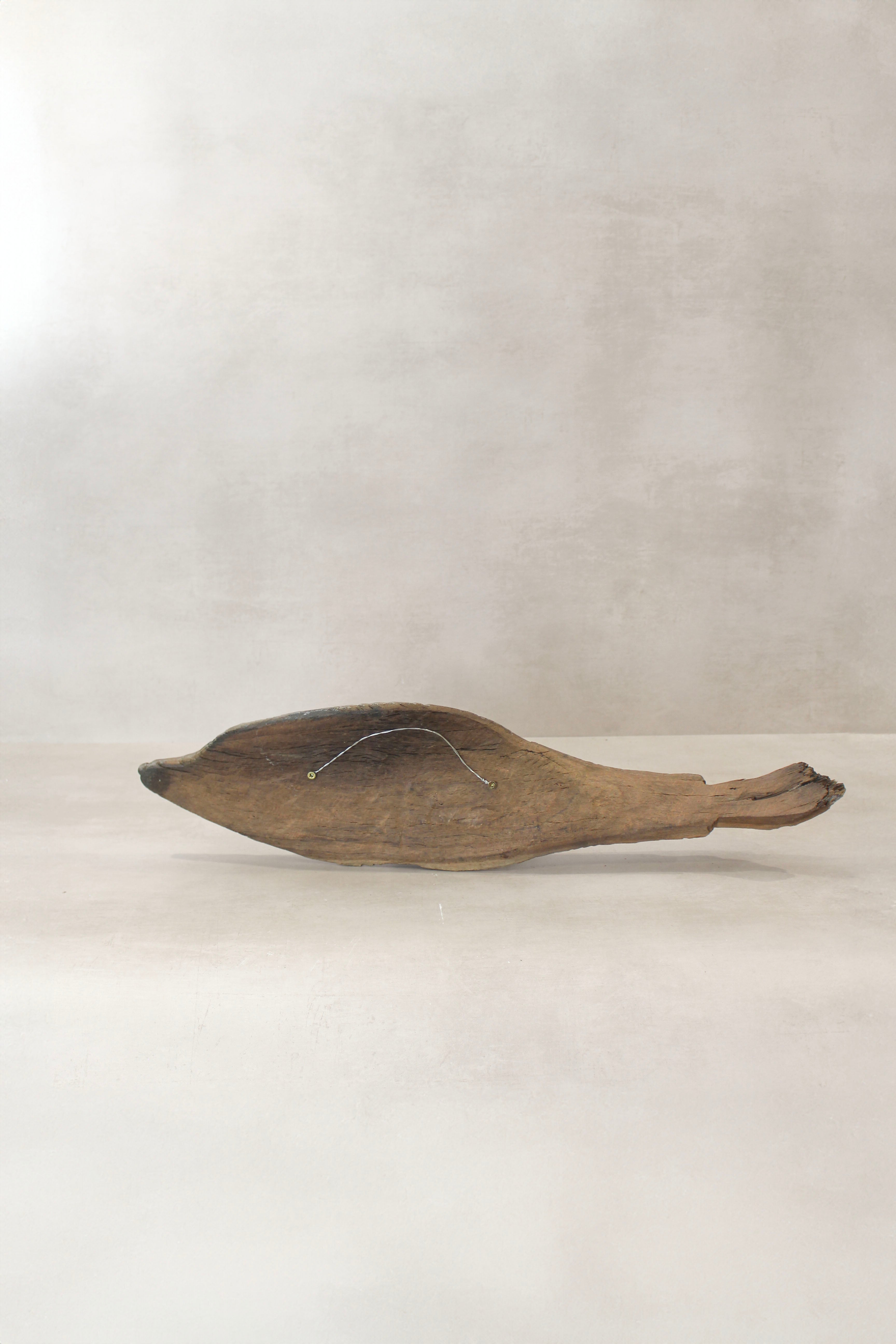 Driftwood Hand Carved Fish - (15.4)