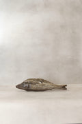 Driftwood Hand Carved Fish - (14.4)
