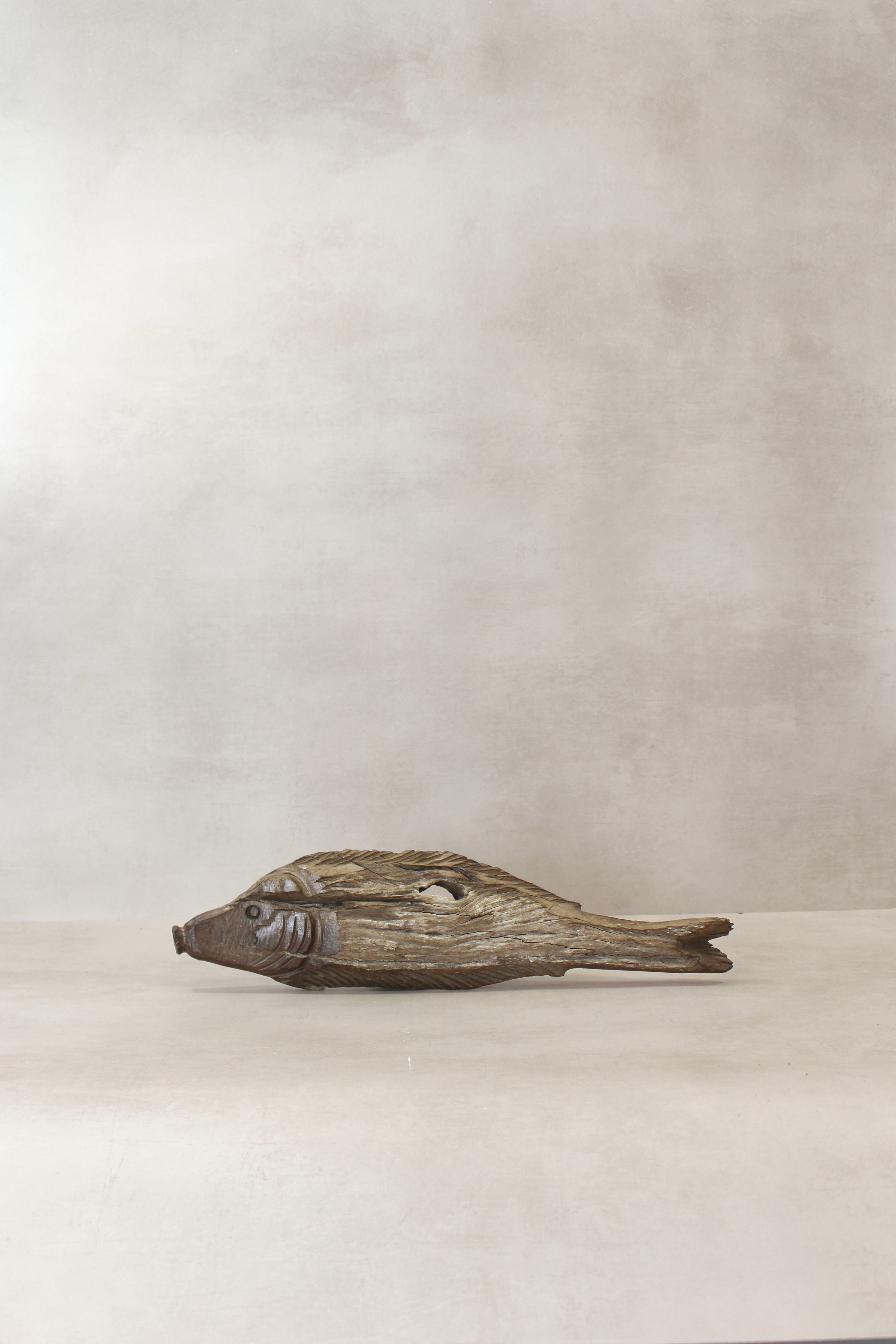 Driftwood Hand Carved Fish - (14.4)
