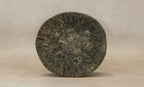 Tonga Stool - 20.1
