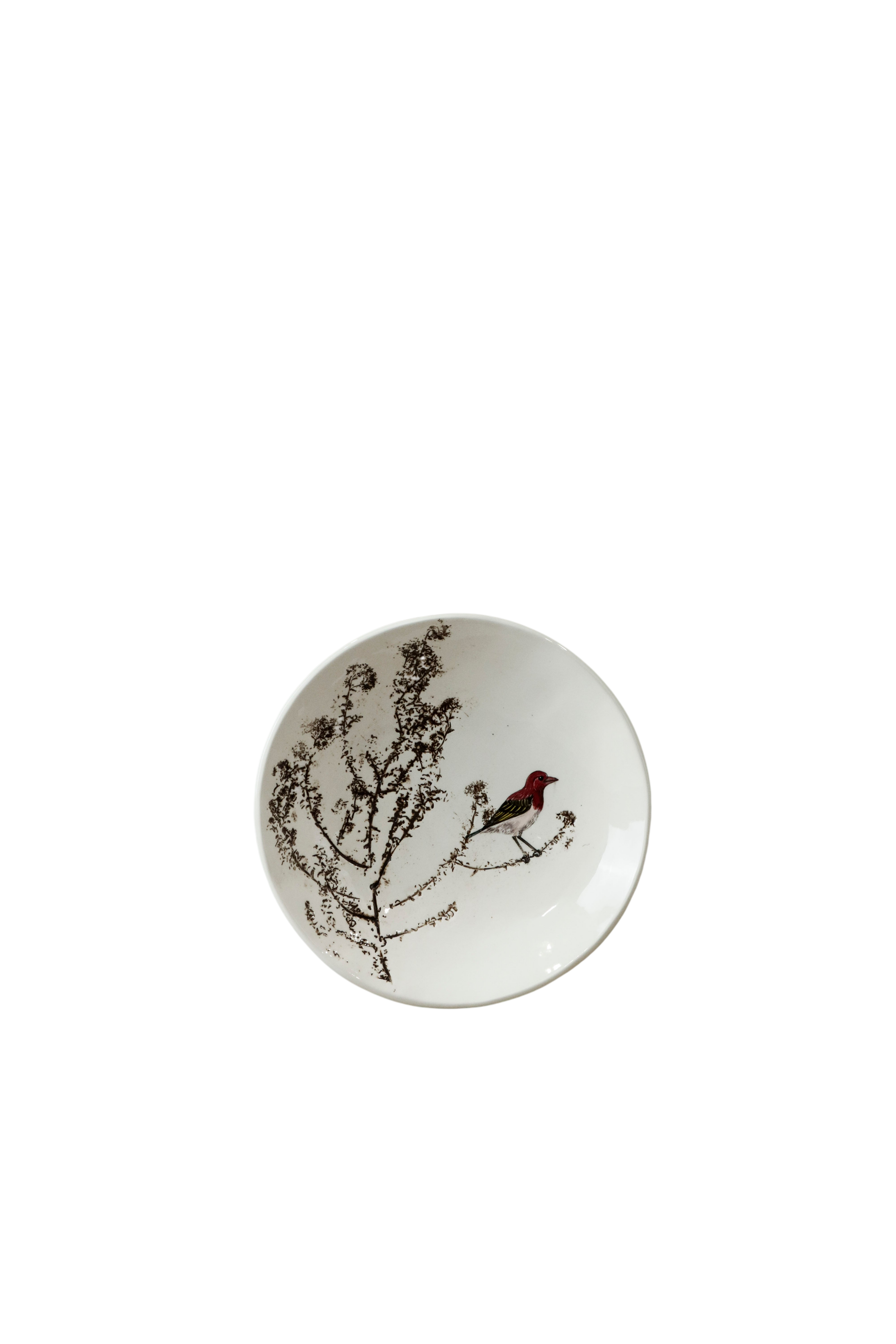 Fynbos & Bird ceramic plate n°19