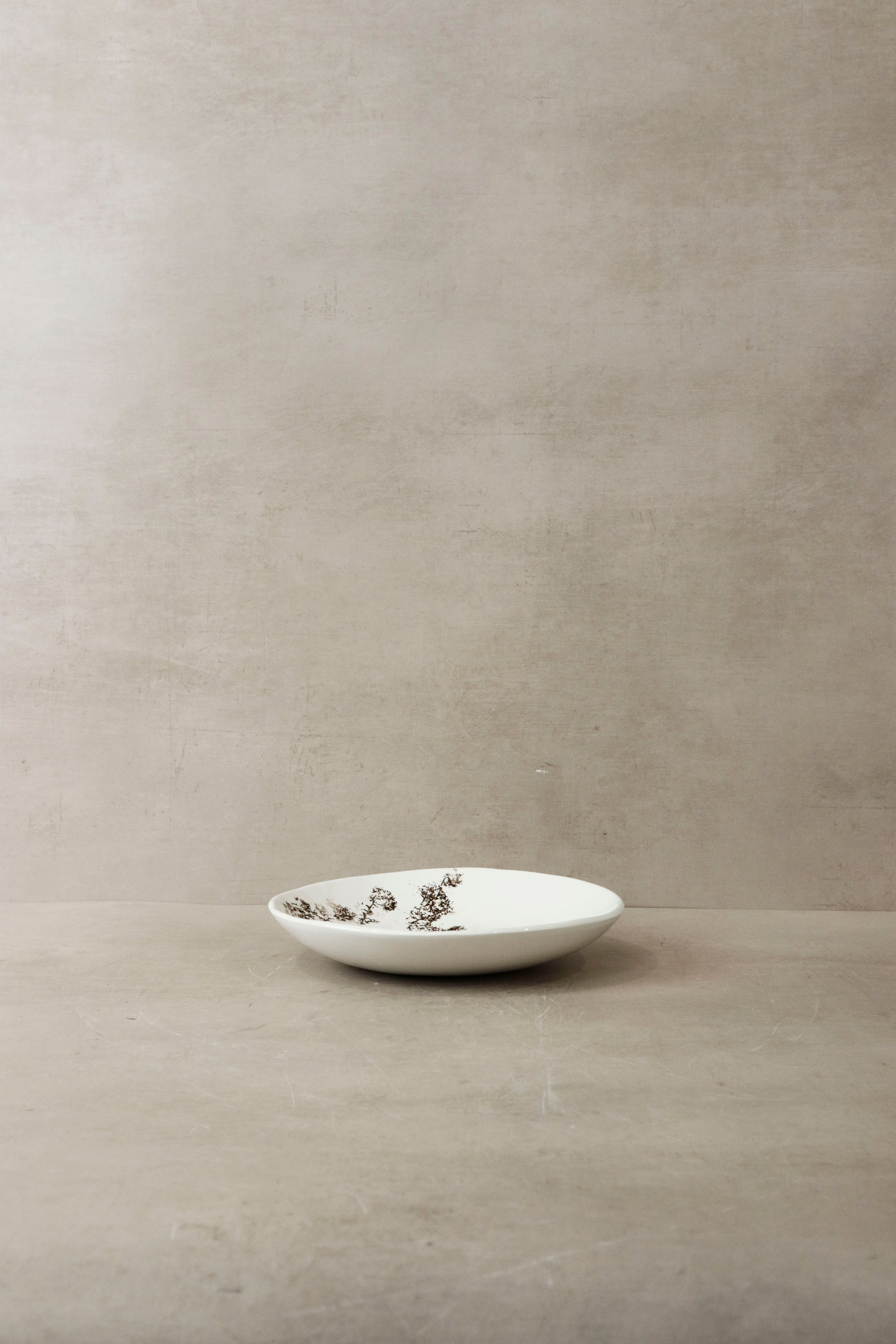 Fynbos & Bird ceramic plate n°19