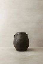 Antique Earthenware Preserve Pots - AEP 1