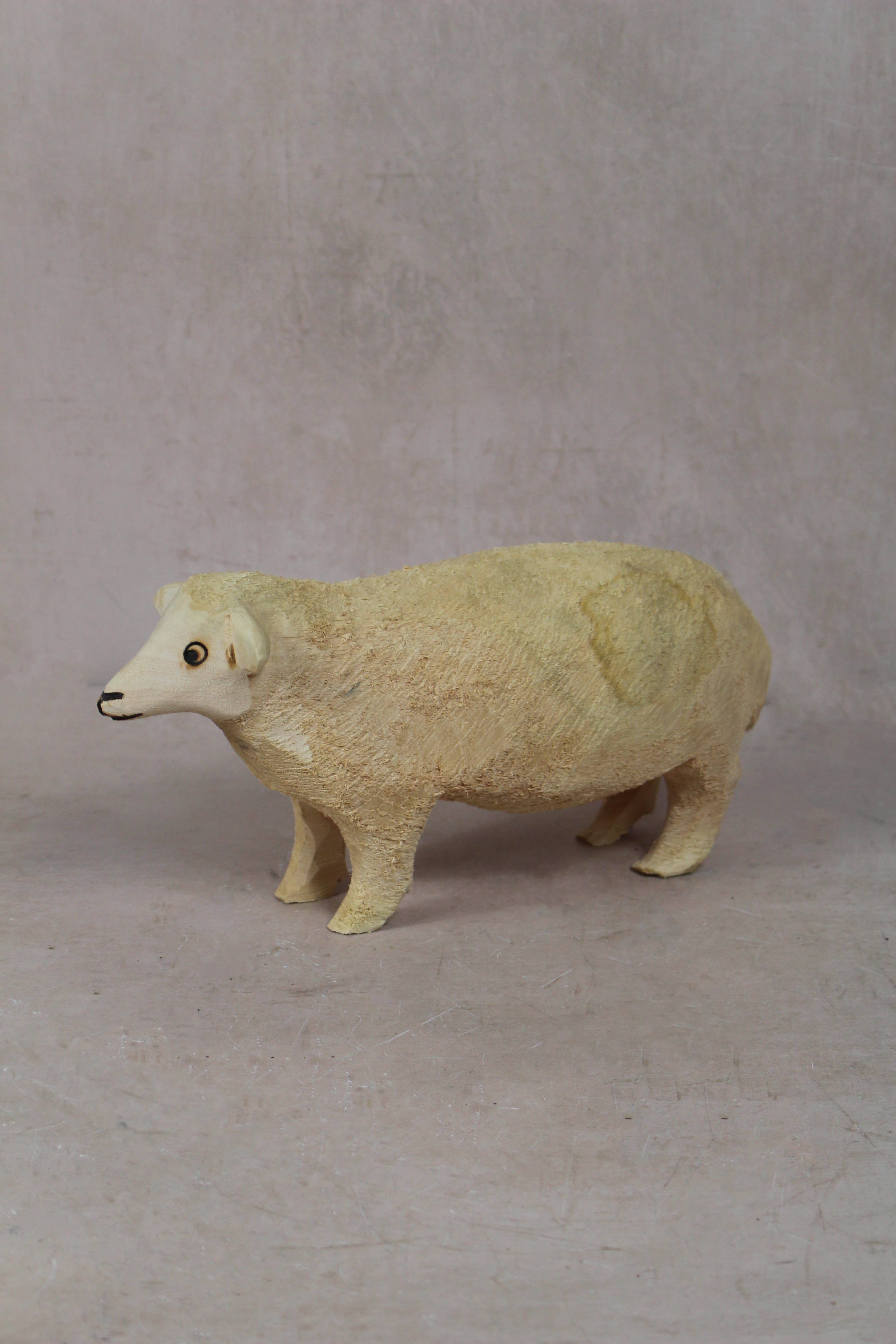 Swazi Sheep 141.1