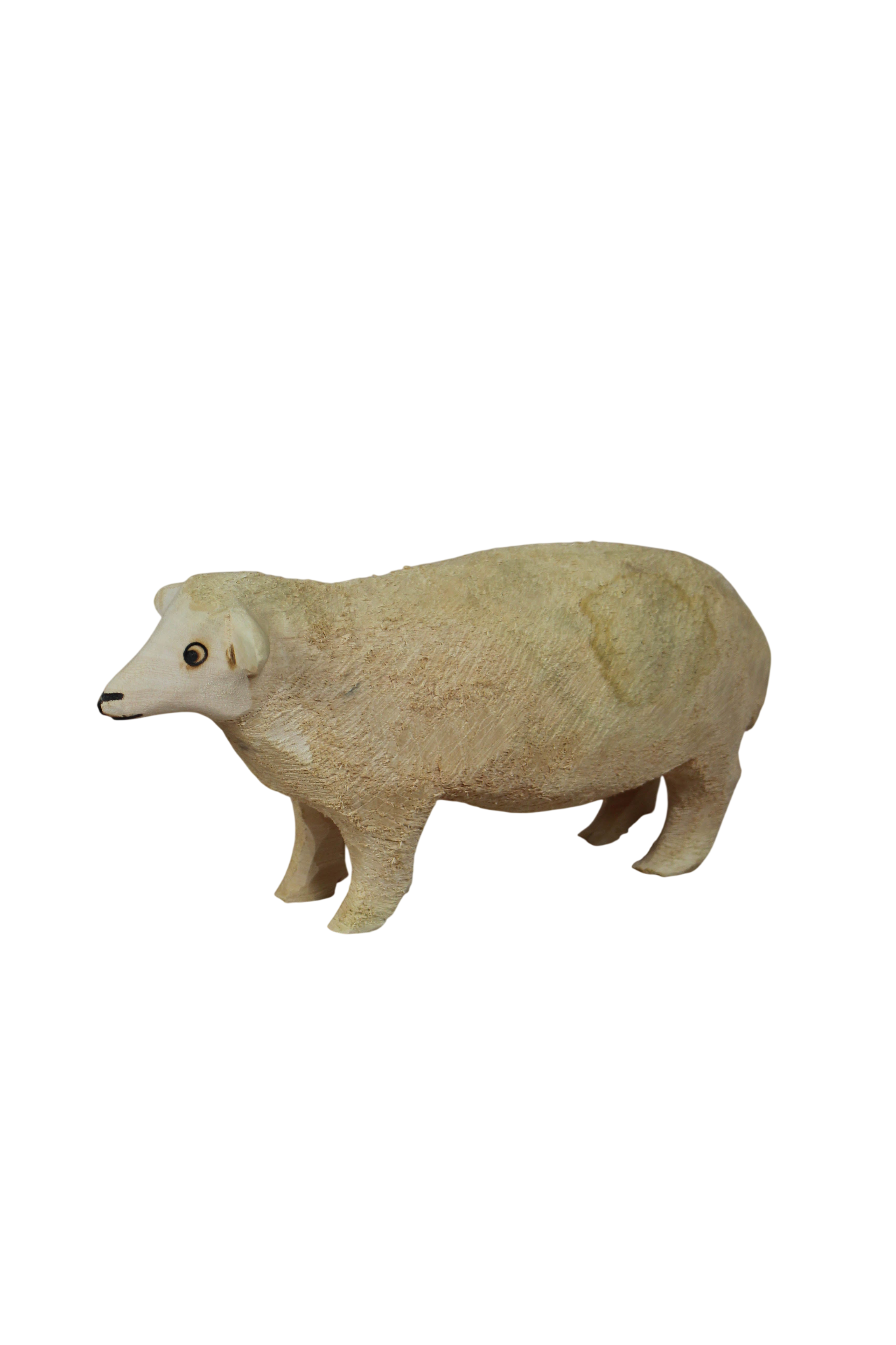 Swazi Sheep 141.1