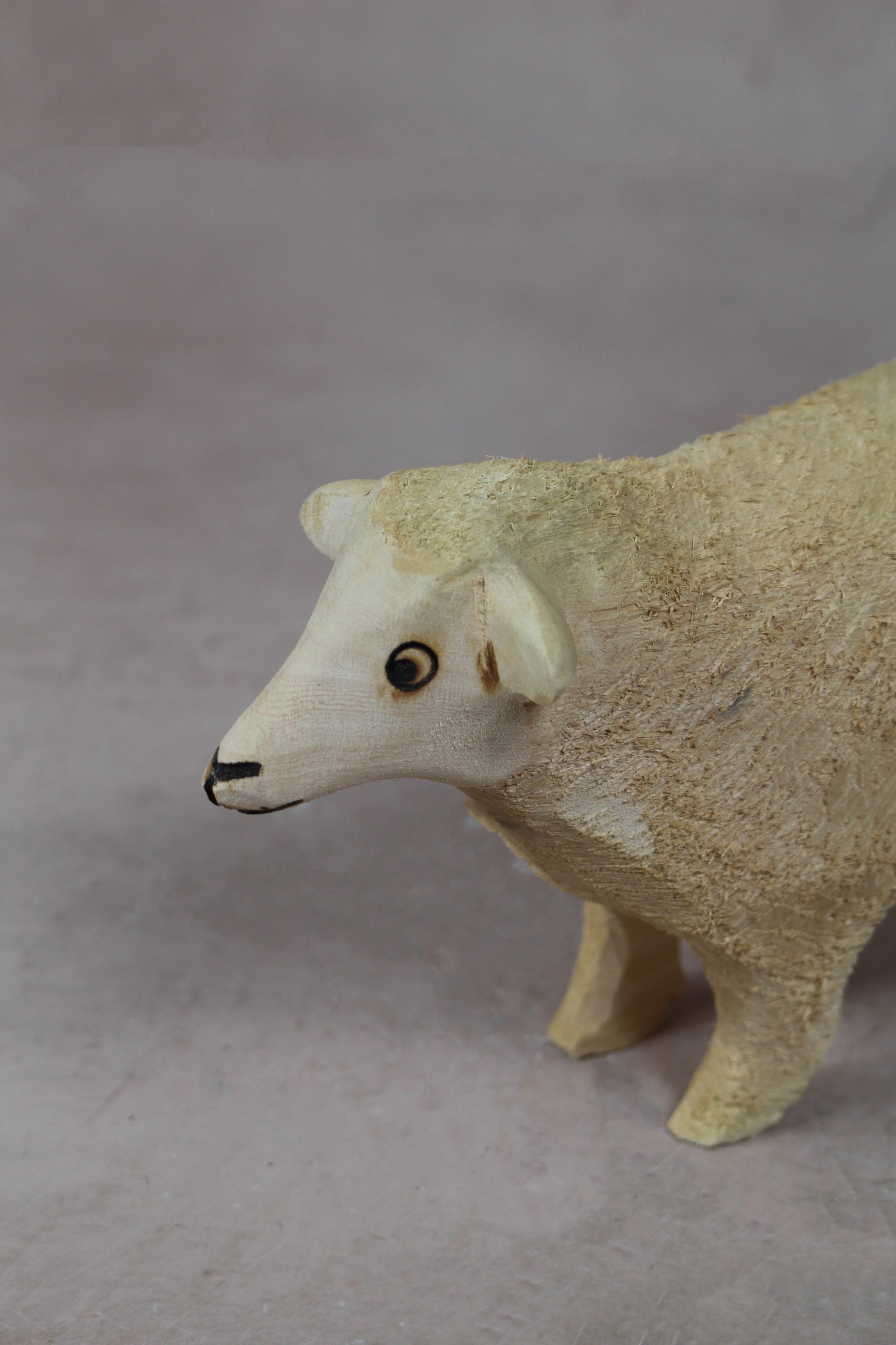Swazi Sheep 141.1