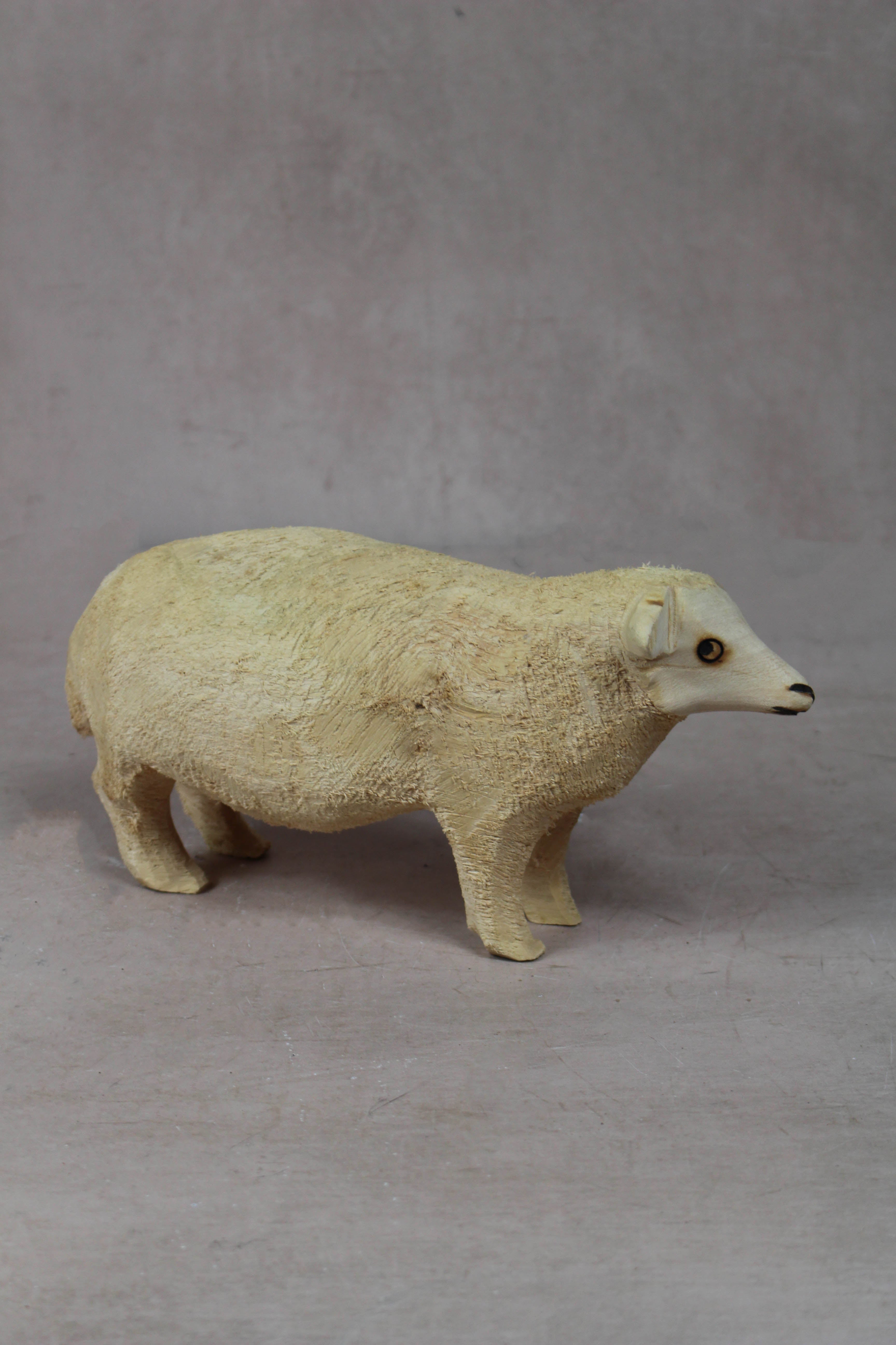 Swazi Sheep 141.1