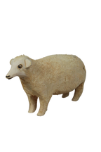 Swazi Sheep 141.2