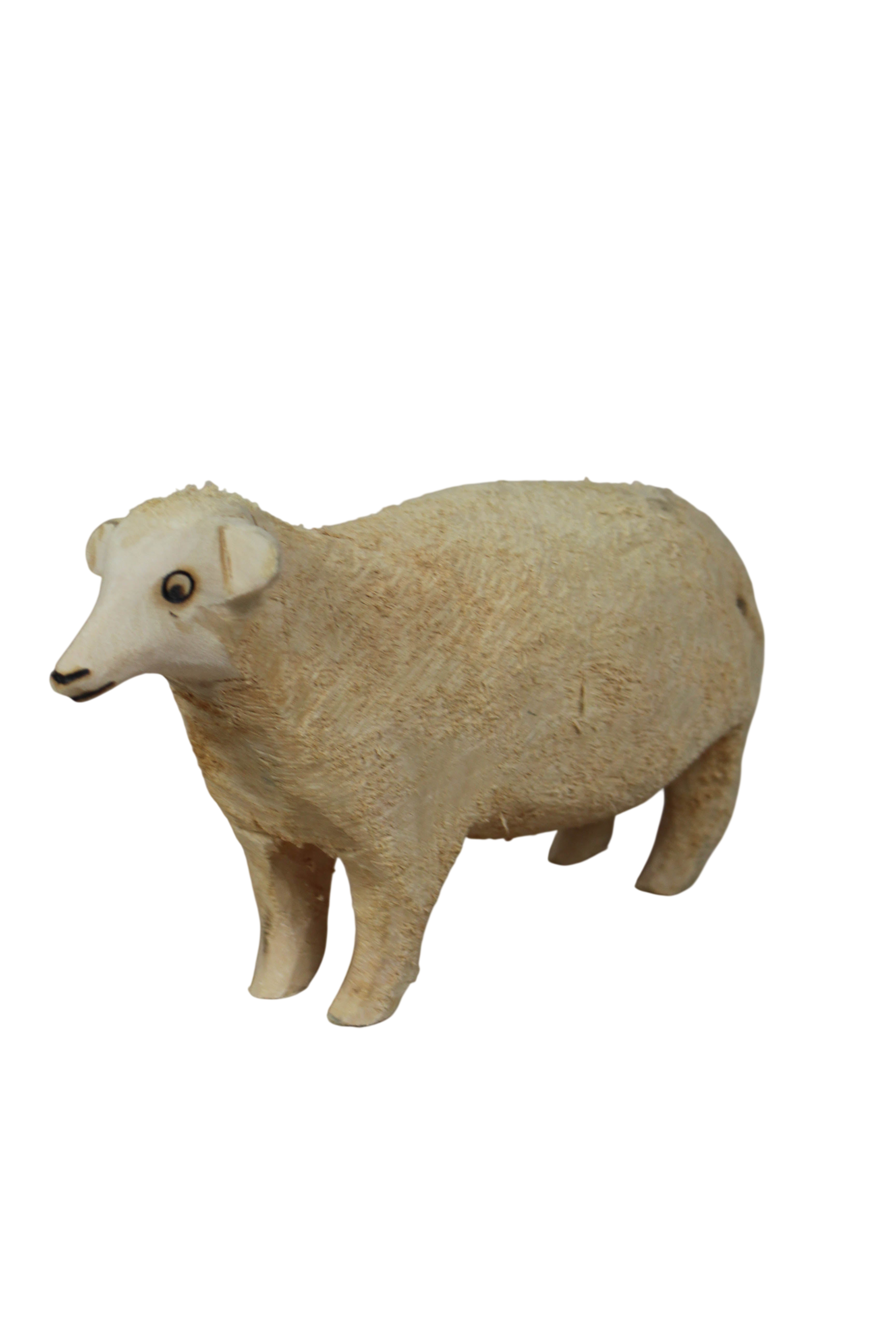 Swazi Sheep 141.2