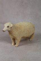 Swazi Sheep 141.2