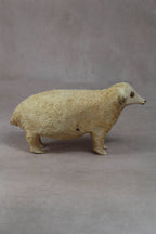 Swazi Sheep 141.2