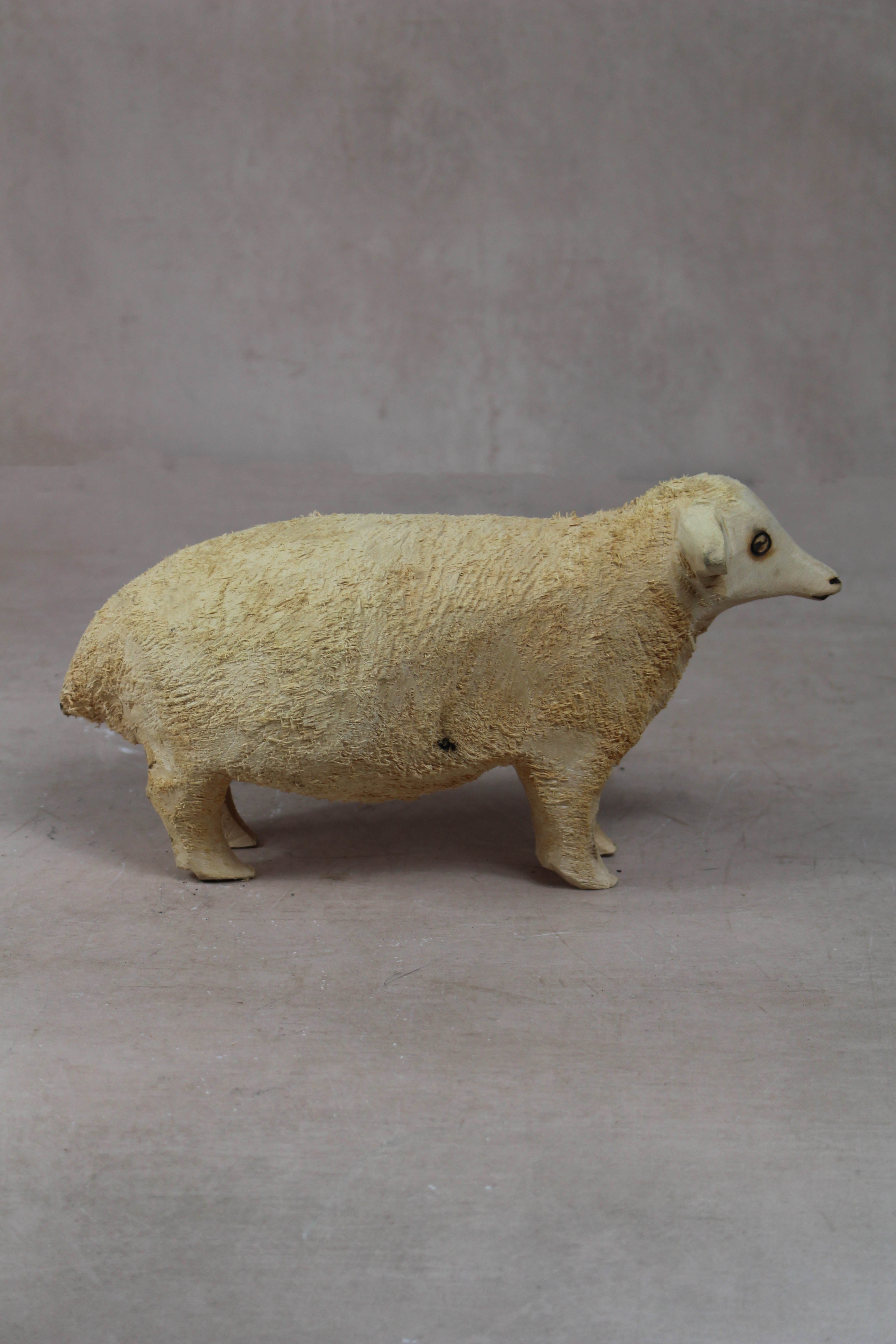 Swazi Sheep 141.2