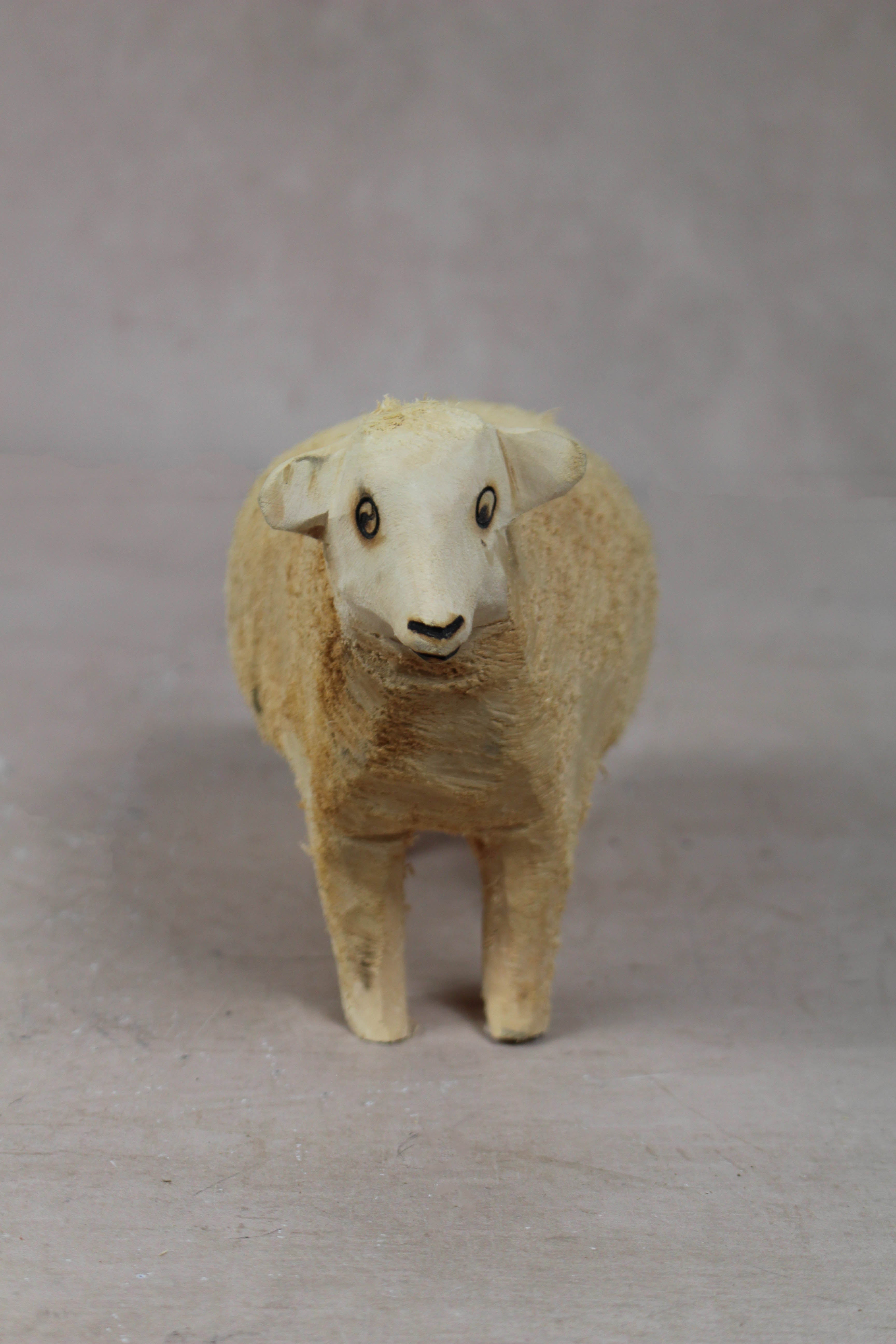Swazi Sheep 141.2