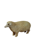 Swazi Sheep 141.3
